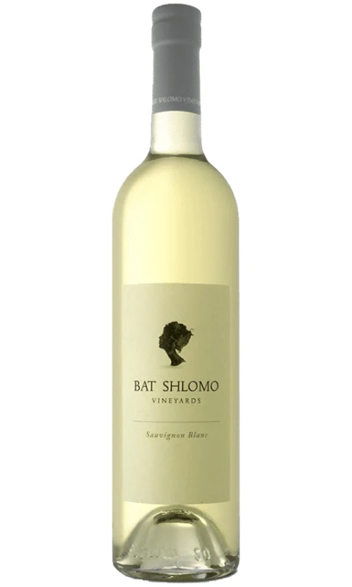 ⁦בת שלמה סוביניון בלאן⁩ – תמונה ⁦1⁩