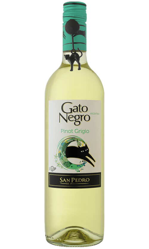 ⁦גאטו נגרו פינו גריג'ו⁩ – תמונה ⁦1⁩