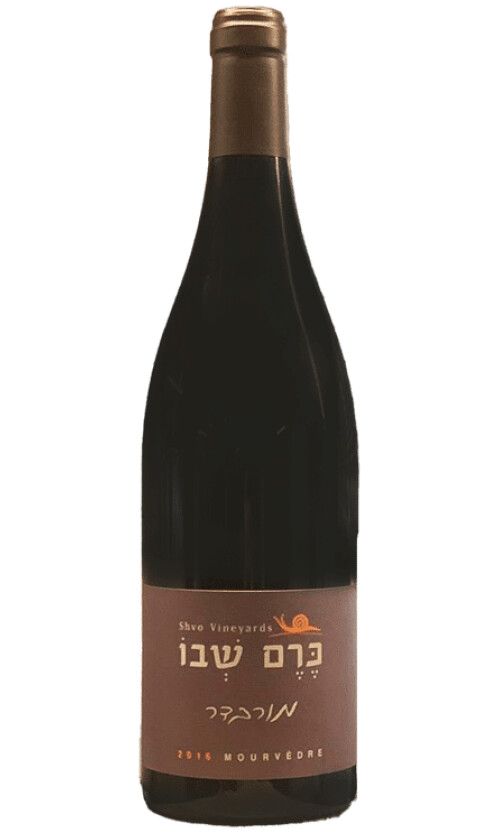 ⁦כרם שבו מורבדר⁩ – תמונה ⁦1⁩