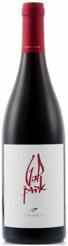 להט20אדום.jpg להט אדום – תמונה 1