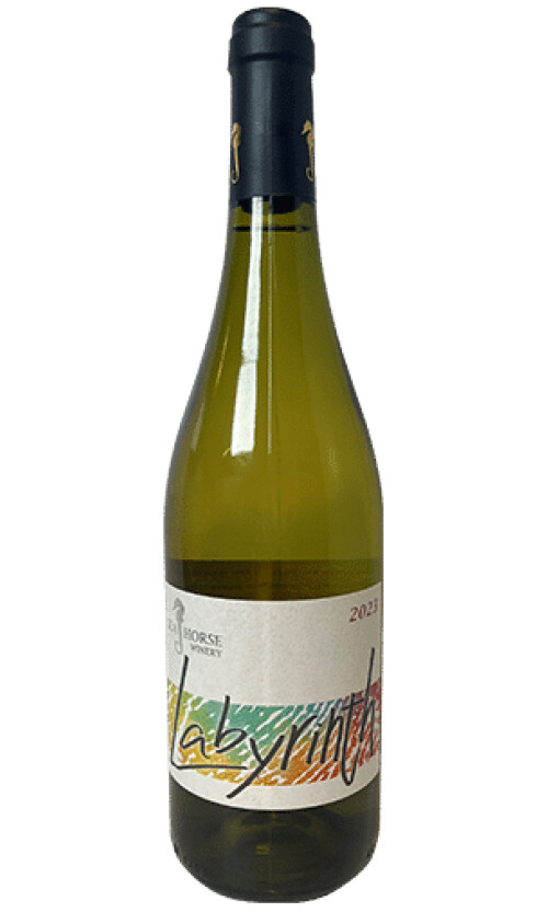 ⁦סוסון ים לבירינט - גרנש בלאן רוסאן 2023⁩ – תמונה ⁦1⁩