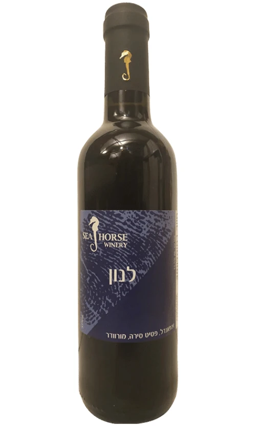 ⁦סוסון ים לנון 375⁩ – תמונה ⁦1⁩