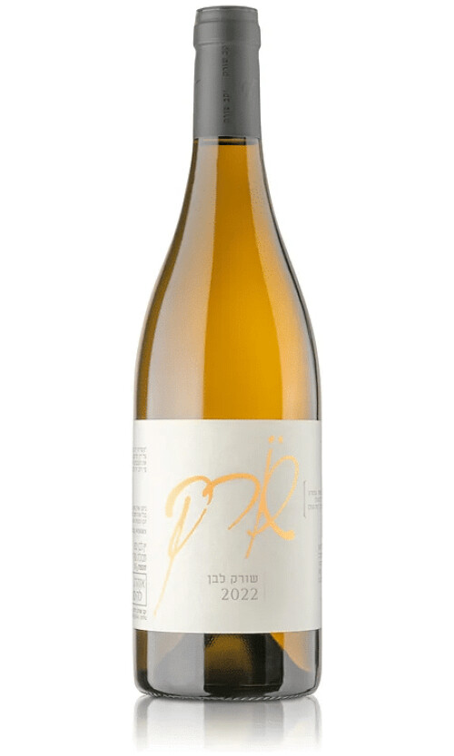 ⁦שורק לבן⁩ – תמונה ⁦1⁩