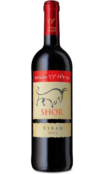 שילה שור סירה