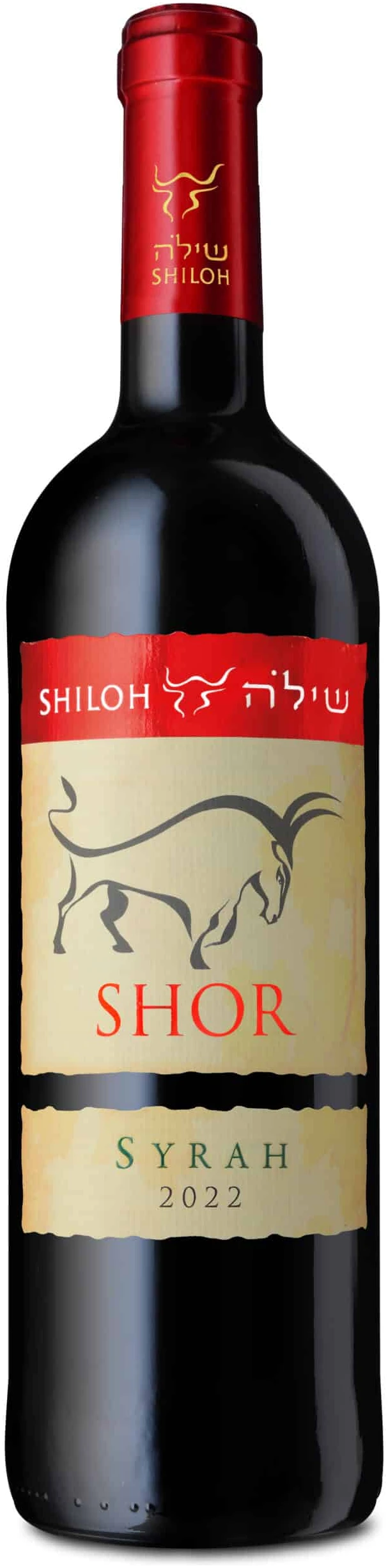shor-syrah-22-003-scaled-1 שילה שור סירה – תמונה 1