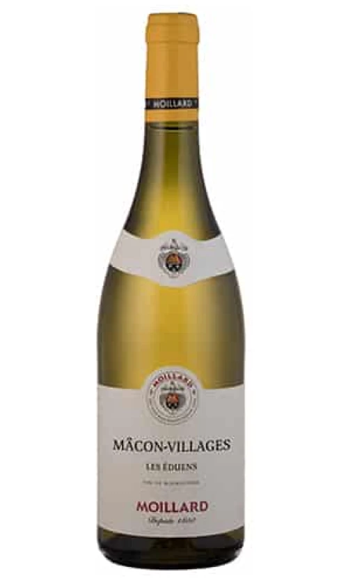 ⁦מואייר מאקון וילאז' לבן⁩ – תמונה ⁦1⁩