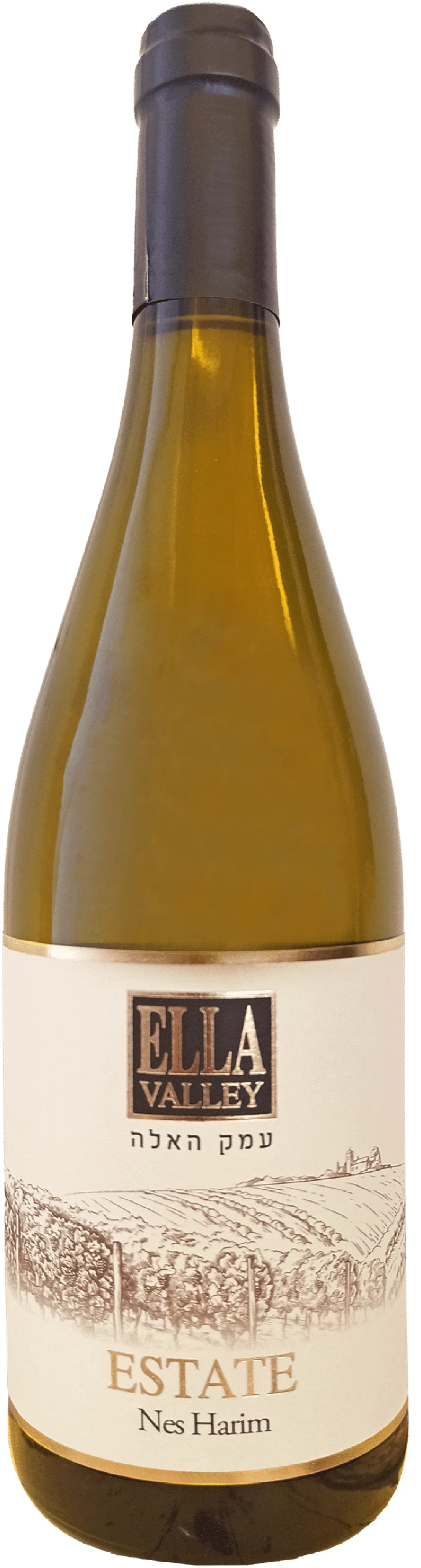 עמק האלה אסטייט נס הרים-01 (003)