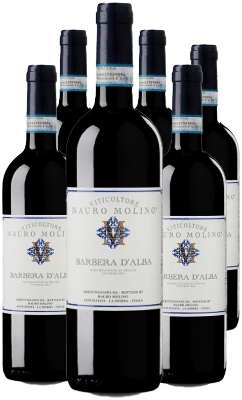 6 ברברה ד'אלבה