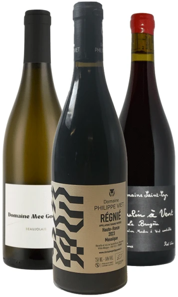 שלישיית דומיינים "הגל החדש"