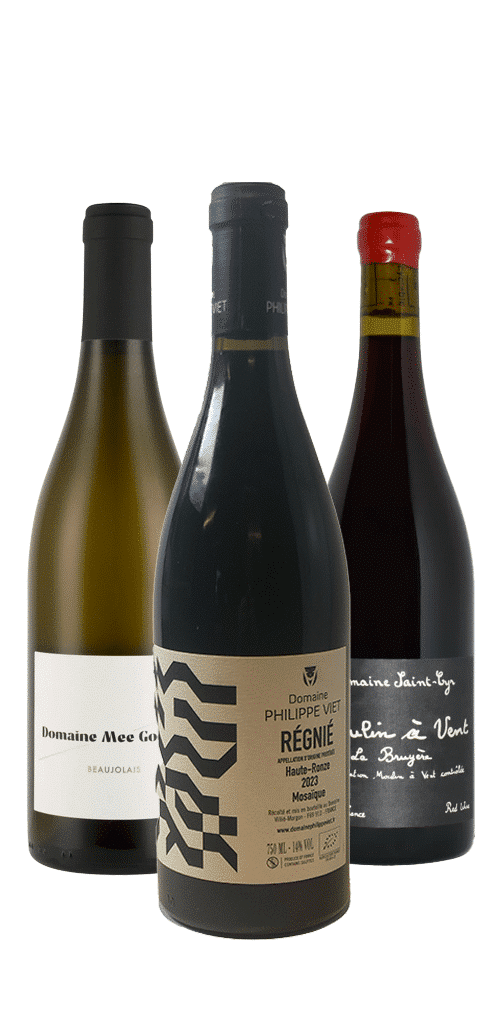 שלישיית דומיינים הגל החדש שלישיית דומיינים "הגל החדש" – תמונה 1