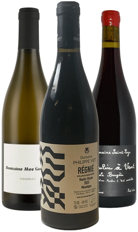 שלישיית דומיינים הגל החדש שלישיית דומיינים "הגל החדש" – תמונה 1