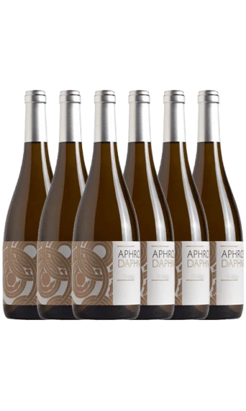 שישיית אפרוס דפנה