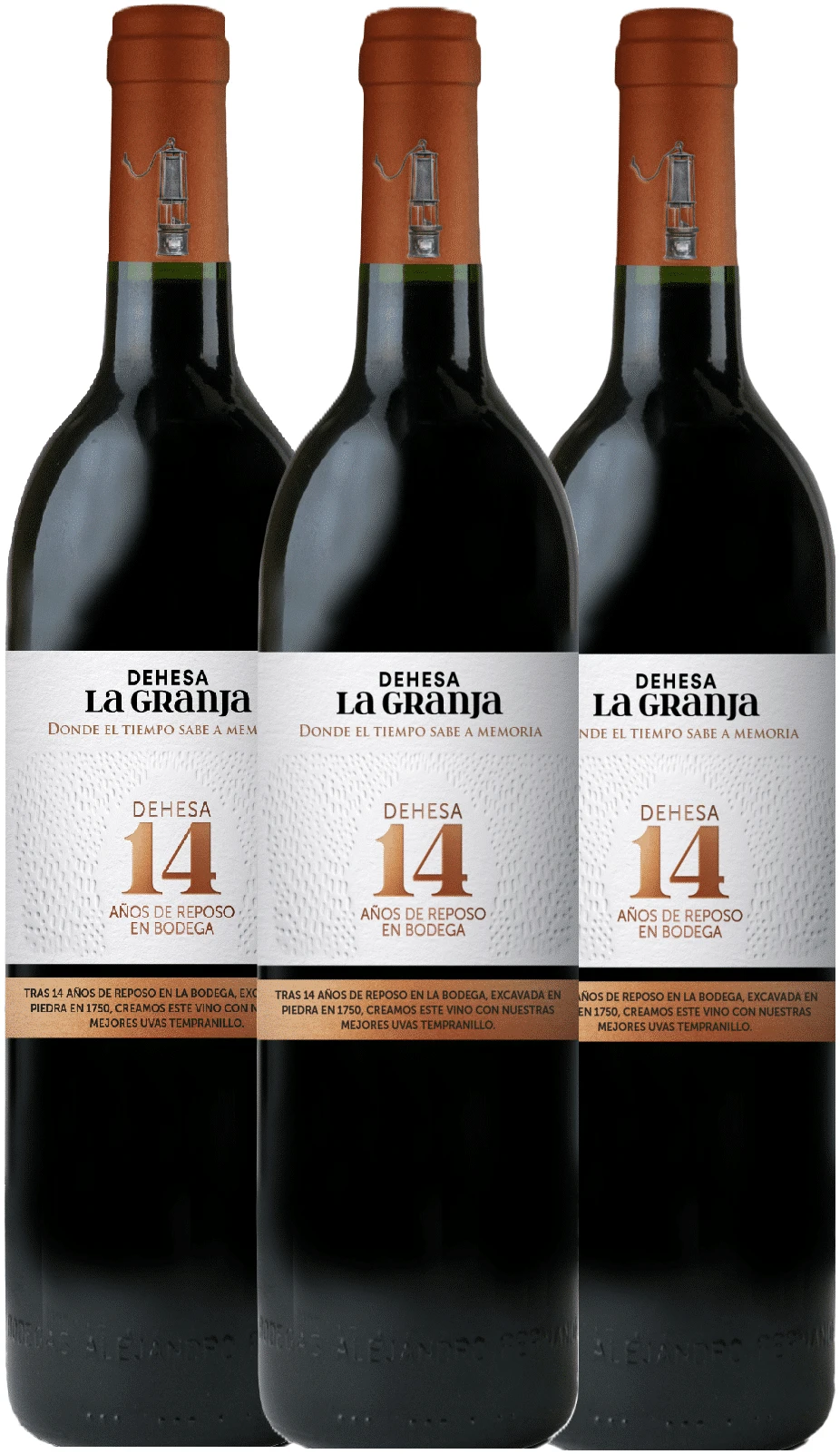 דהסה לה גרנחה 14 שנה 3