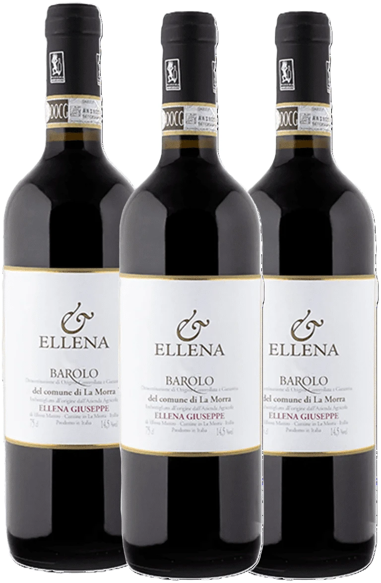 הלנה גוזפה ברולו 3