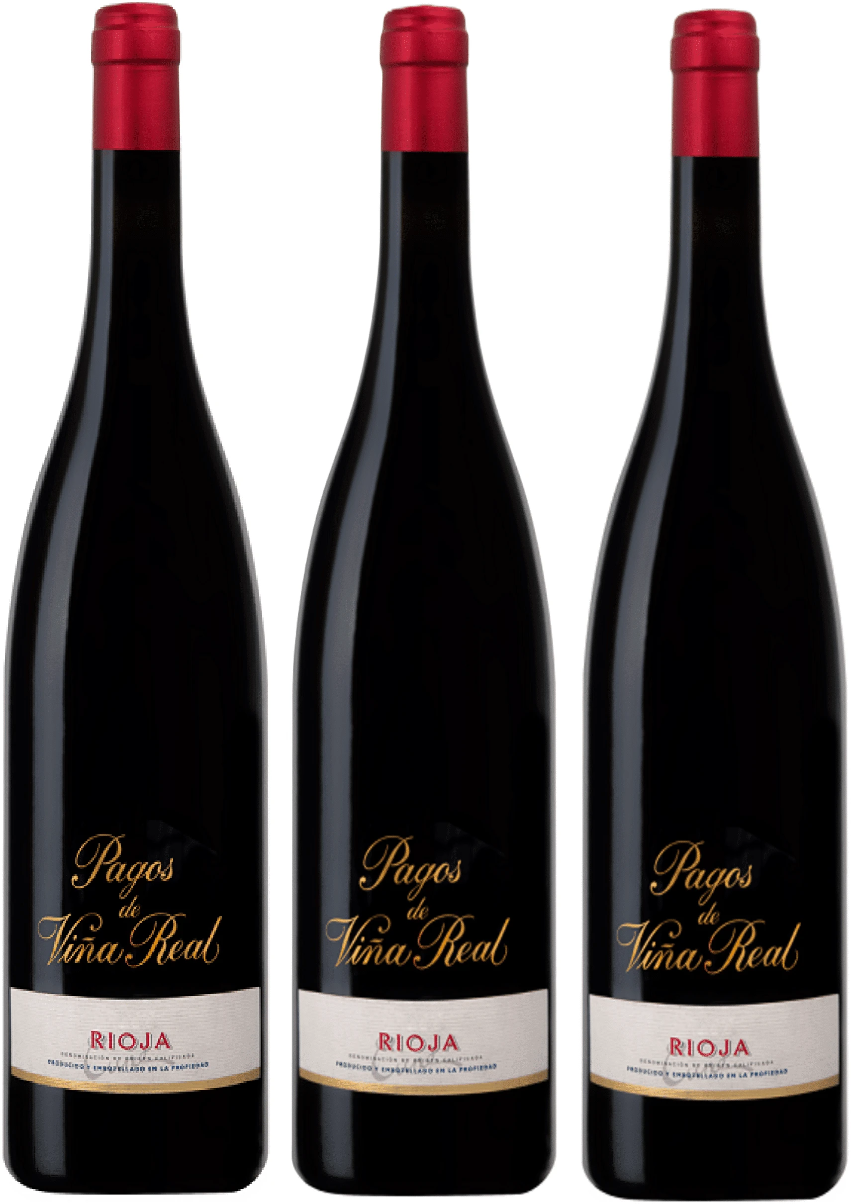 וינה ריאל פאגוס 3 שלישיית וינה ריאל פאגוס – תמונה 1