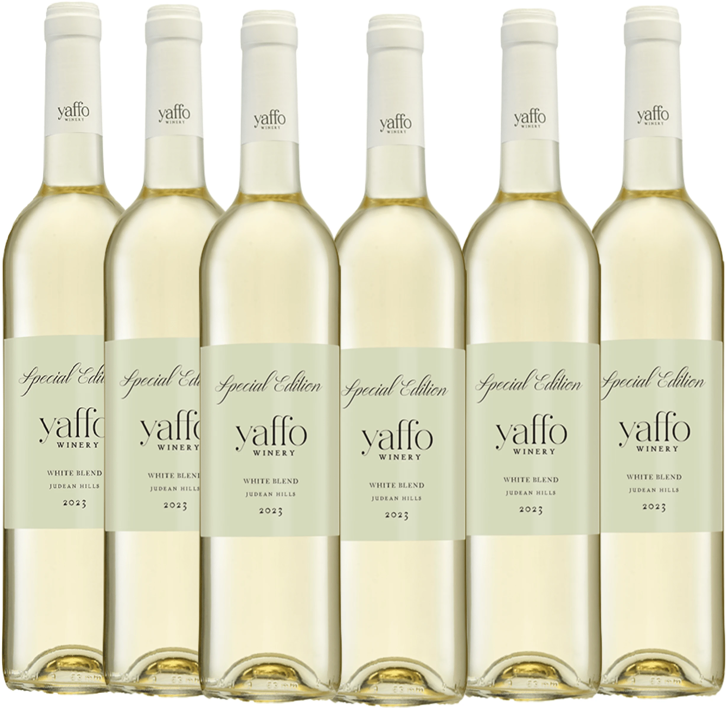 יפו ספיישל לבן 6 שישיית יפו ספיישל אדישן לבן – תמונה 1