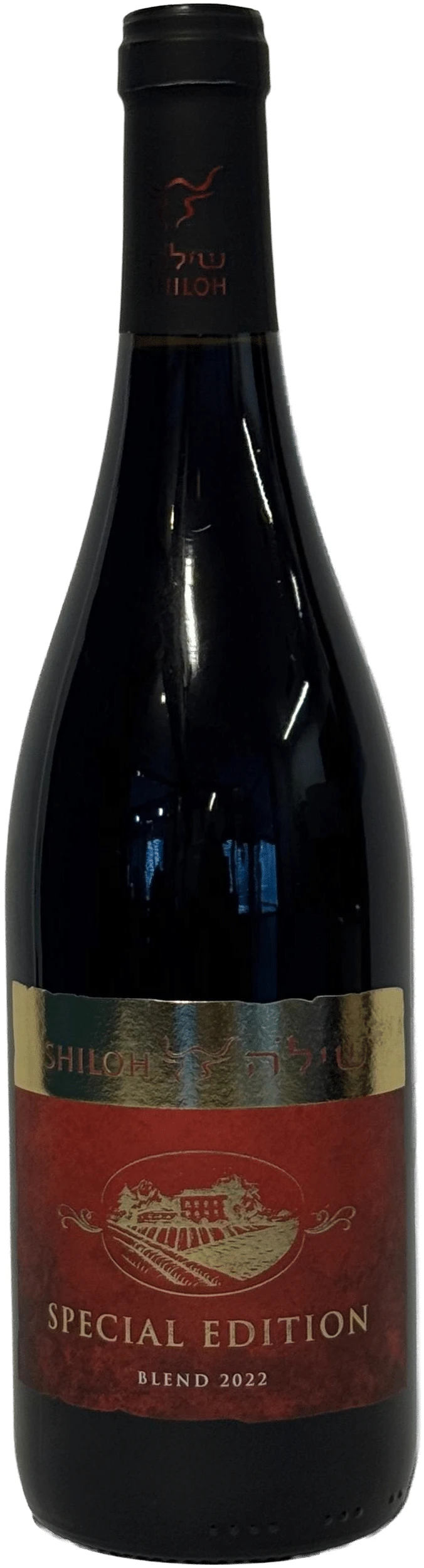 שילה ספיישל אדישן אדום