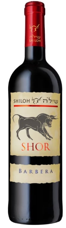 שילה שור ברברה שילה שור ברברה – תמונה 1