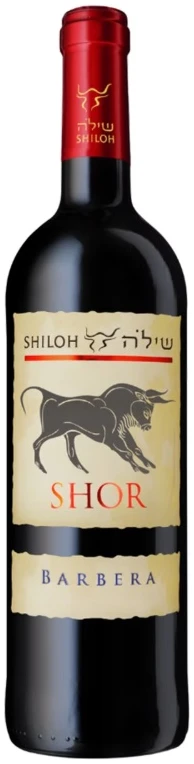 שילה שור ברברה שילה שור ברברה – תמונה 1