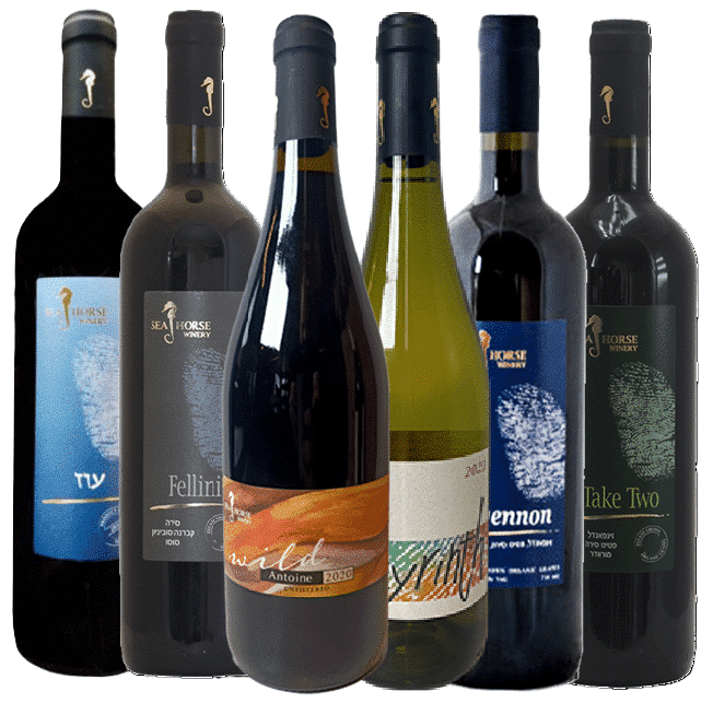 שישיית סוסון ים עם ציונים חבילת סוסון ים - גאווה ישראלית! – תמונה 1