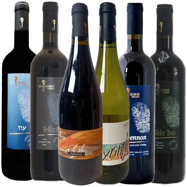 שישיית סוסון ים עם ציונים חבילת סוסון ים - גאווה ישראלית! – תמונה 1