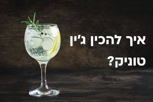 איך להכין ג’ין טוניק