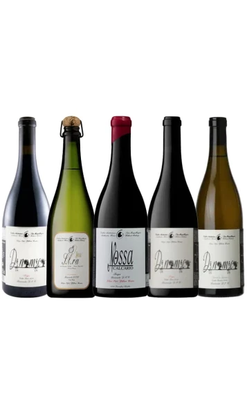 הכר את יקב פאטו