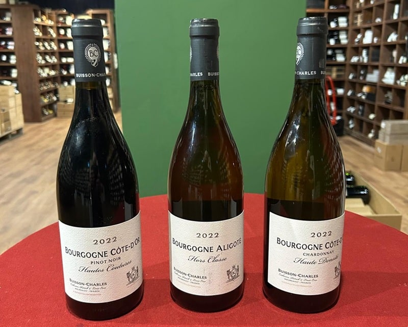 בויסו שארל ניוזלטר