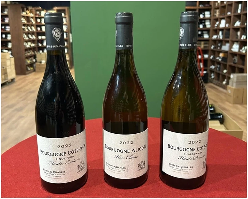 בויסו שארל ניוזלטר