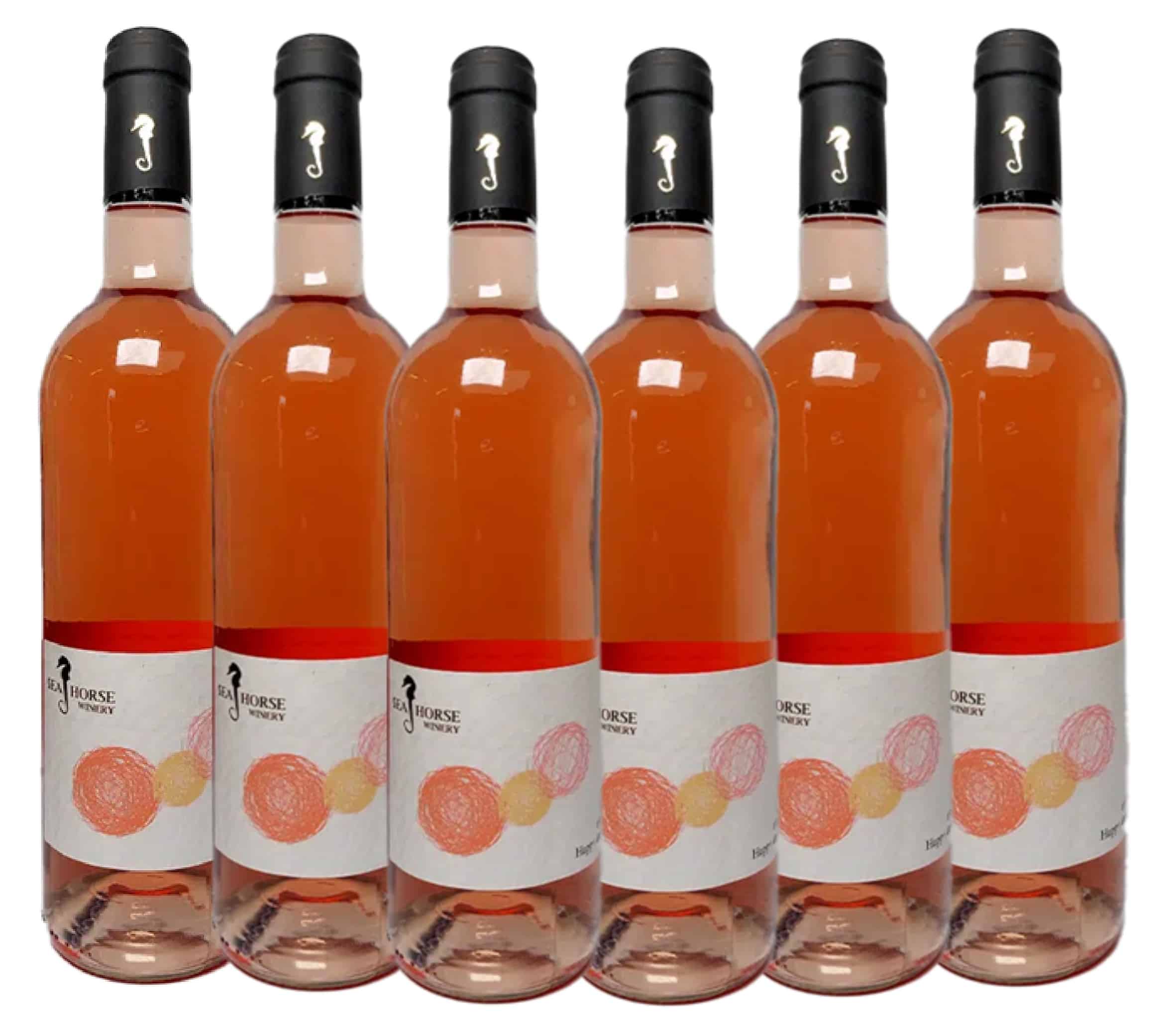 שישיית סוסון ים הפי דייז שישיית סוסון ים רוזה happy days – תמונה 1