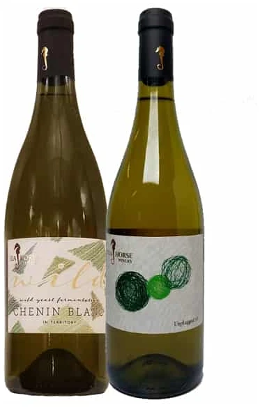 זוג לבנים זוג לבנים של סוסון ים – תמונה 1