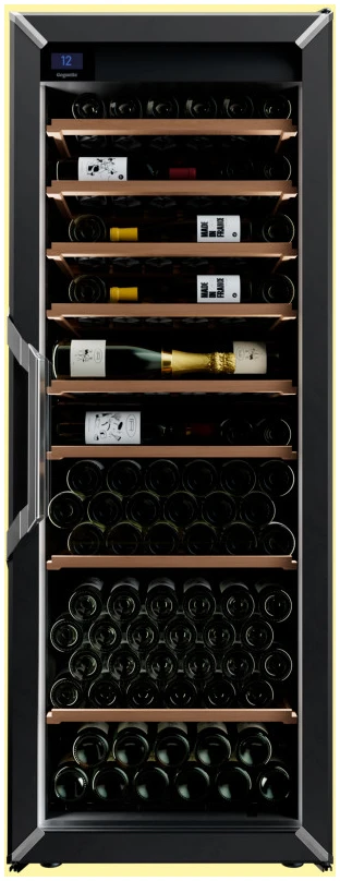 cave-de-conservation-1-temperature-grand-modele-porte-vitree-noire-1