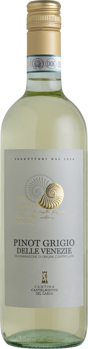 16025 קסטלנואבו פינו גריג'יו – תמונה 1