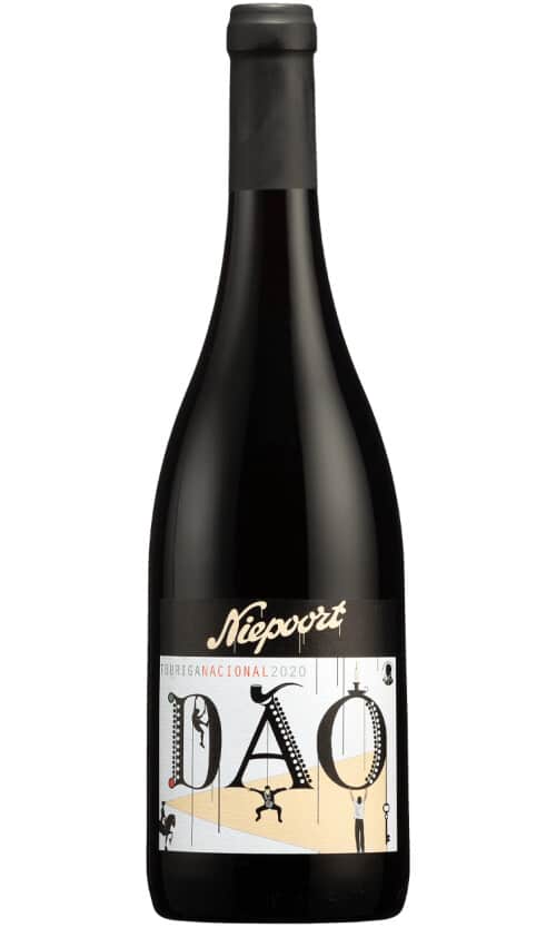 ⁦ניפורט דאו טוריגה נאסיונל⁩ – תמונה ⁦1⁩