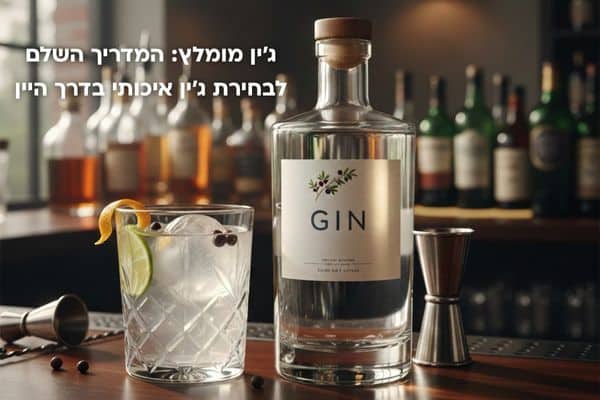 ג'ין מומלץ המדריך השלם לבחירת ג'ין איכותי בדרך היין