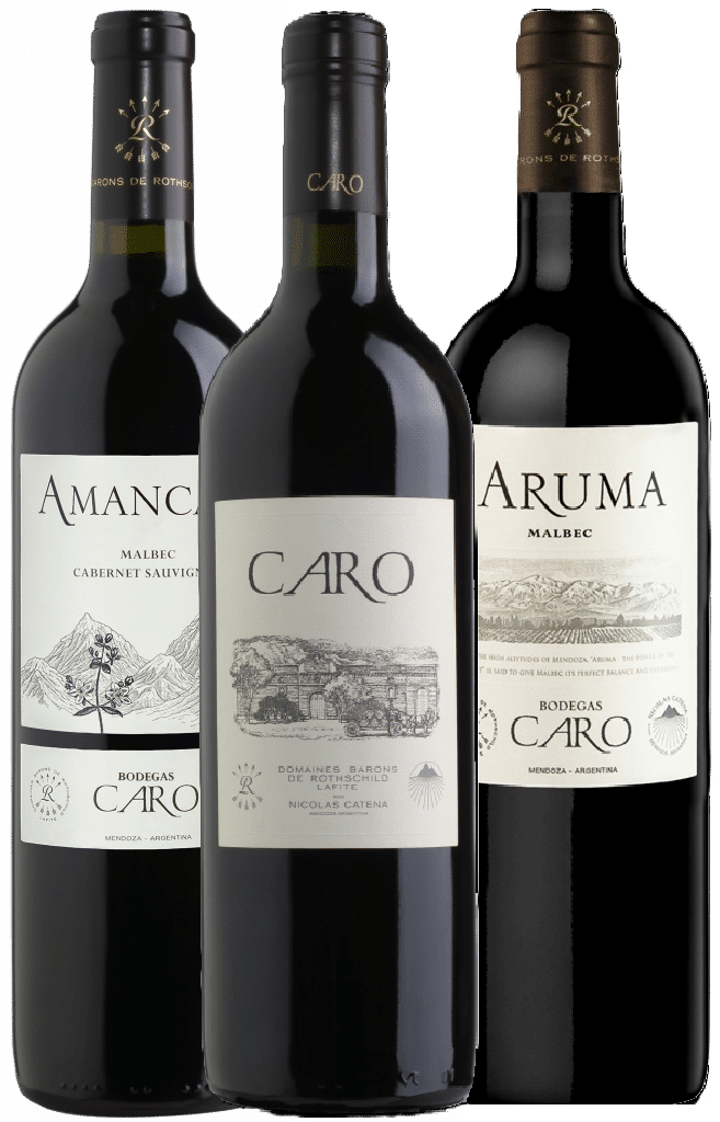 הכר את יקב בודגאס קארו