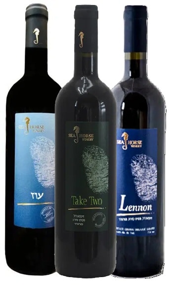 שלישיית סוסון ים עם ציונים שלישיית סוסון ים נבחרי סאקלינג עם ציונים מרשימים במיוחד – תמונה 1