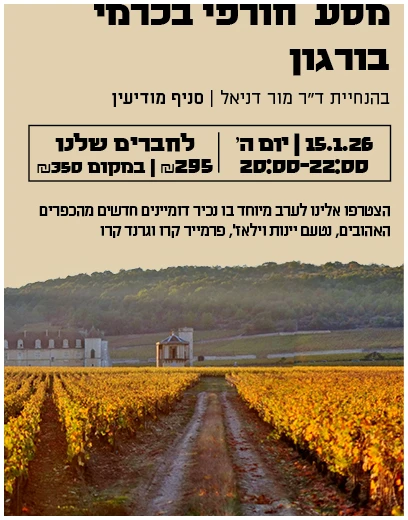 מסע חורפי בכרמי בורגון3