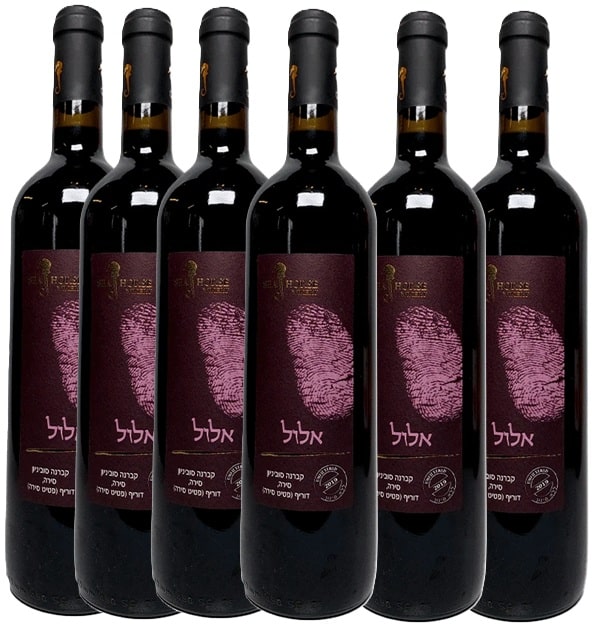 שישיית סוסון ים אלול שישיית סוסון ים אלול – תמונה 1