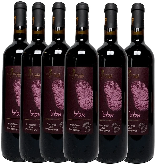 שישיית סוסון ים אלול שישיית סוסון ים אלול – תמונה 1