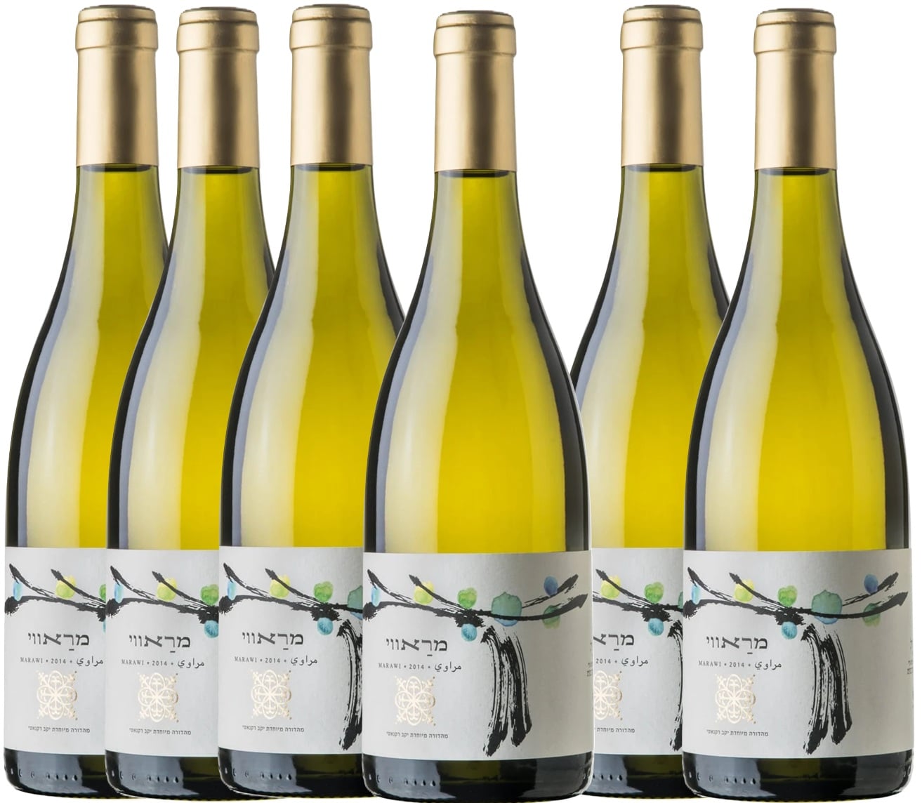 שישיית רקנאטי מראווי שישיית רקנאטי מראווי – תמונה 1