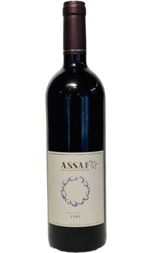 אסף נערן שירז אסף נערן שירז – תמונה 1