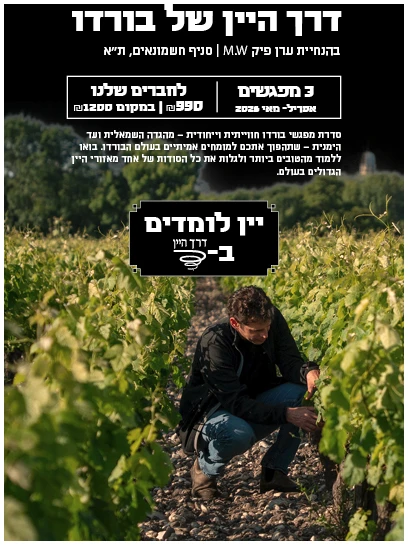 בית ספר ליין בורדו3 (2) קורס יין: בורדו *3 מפגשים* בהנחיית ערן פיק M.W - סניף החשמונאים (אפריל-מאי 2026) – תמונה 1