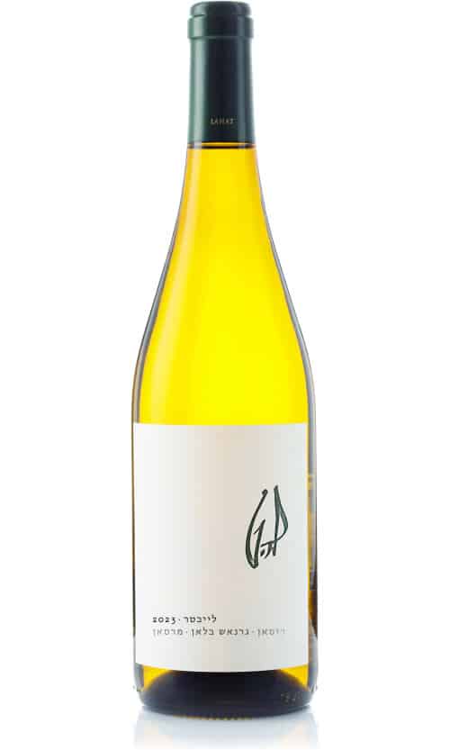 פקשוט להט לייכטר 2023 להט לייכטר – תמונה 1