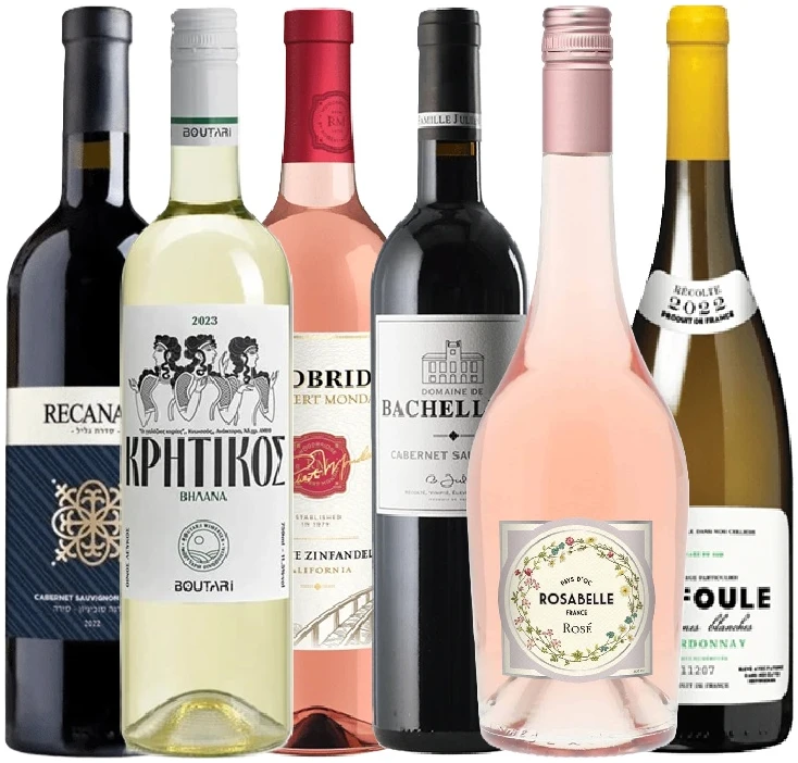 שישייה תמורה למחיר 359.9 מכל העולם מיקס&מאצ' - שישיית יינות מכל העולם עד 60 ש"ח לבק' במשלוח חינם – תמונה 1