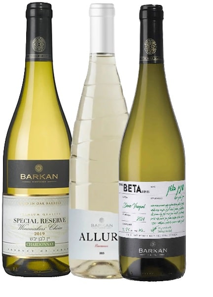 שלישיה לבנה מיקב ברקן שלישייה לבנה מיקב ברקן – תמונה 1