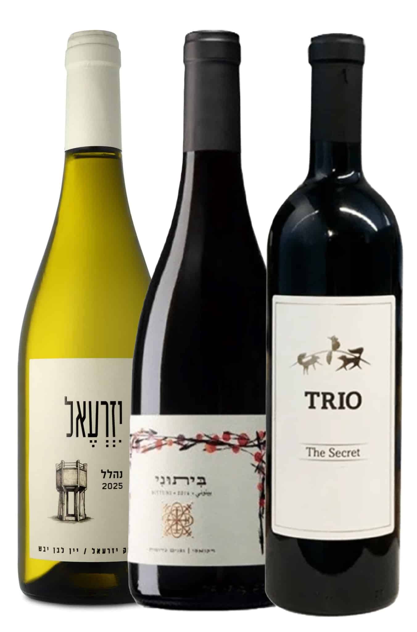 שלישייה מומצלת ערן מודיעין שלישייה ישראלית - מומלצת לחג: ערן סניף מודיעין – תמונה 1