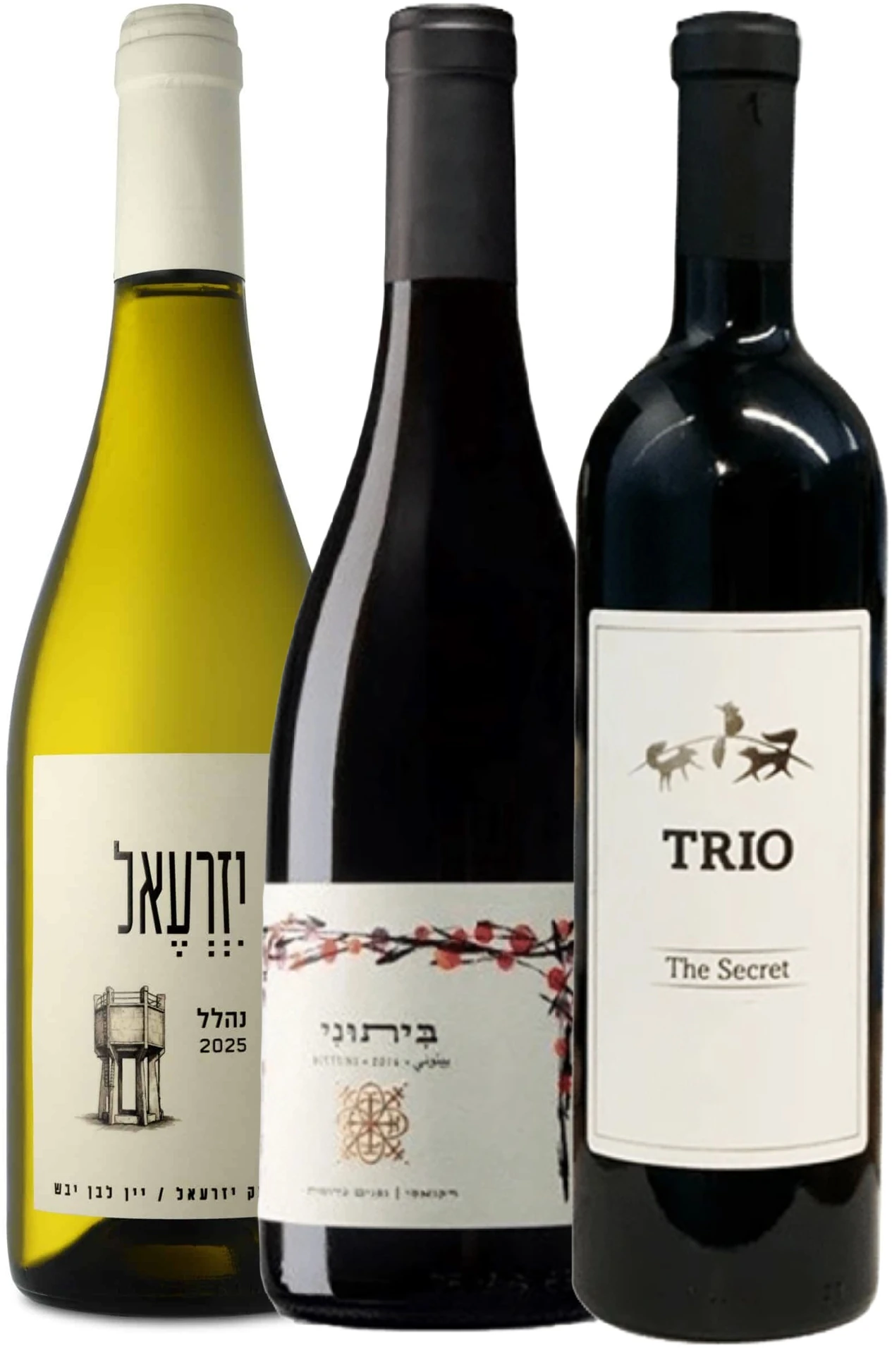 שלישייה מומצלת ערן מודיעין שלישייה ישראלית - מומלצת לחג: ערן סניף מודיעין – תמונה 1