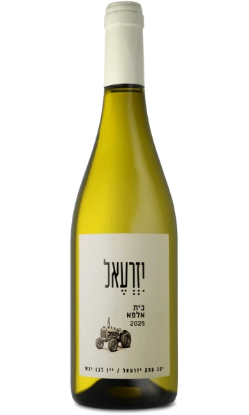 עמק יזרעאל אלפא לבן