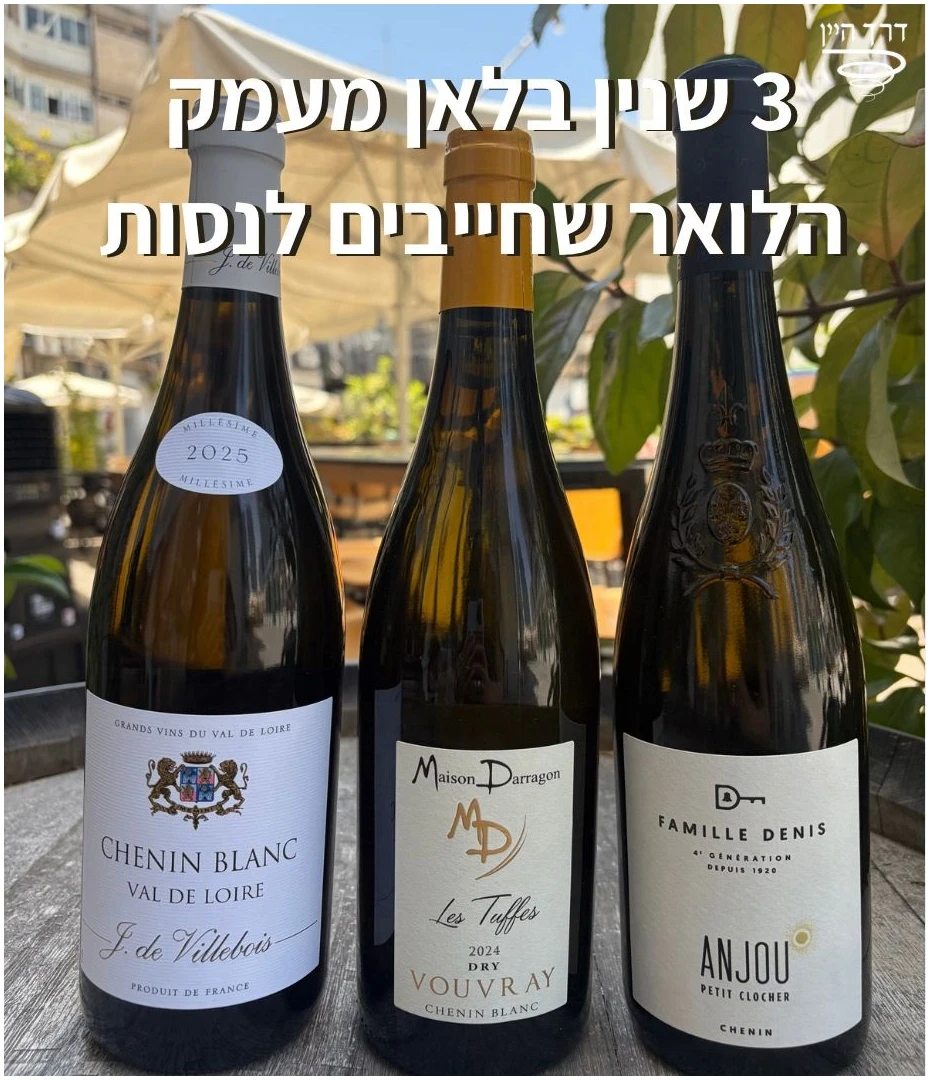 - לאתר שליישיית שנין בלאן שלישיית שנין בלאן שחייבים לנסות – תמונה 1